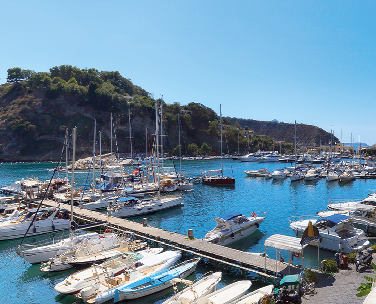 Comitato del Lavoro Marittimo - vivere il mare