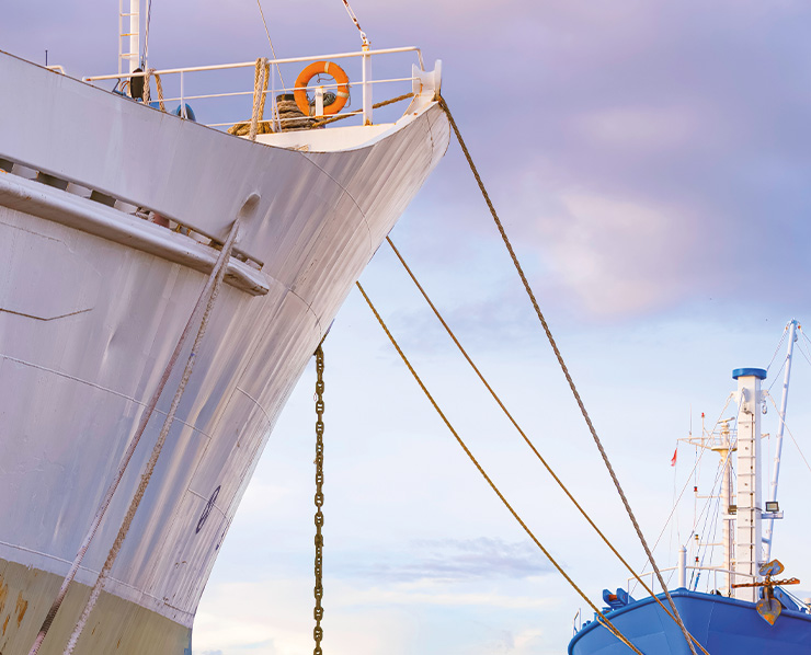 Comitato del Lavoro Marittimo - vivere il mare