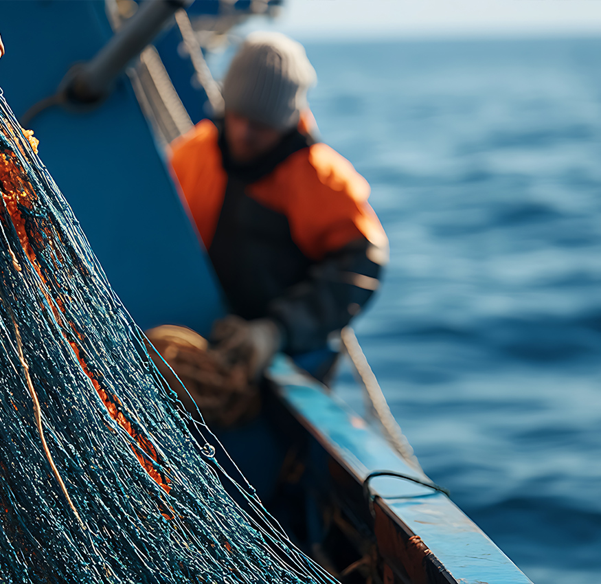 Comitato del Lavoro Marittimo - vivere il mare